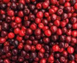 Cerises